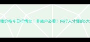 阳江生猪价格今日行情全养殖户必看内行人才懂的5大波动规律