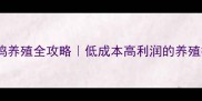饲料鸡养殖全攻略低成本高利润的养殖技术