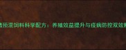 江西仔猪预混饲料科学配方养殖效益提升与疫病防控双效解决方案