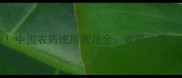 最新版中国农药使用规范全农民必看的5大要点