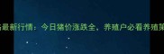 全国生猪价格最新行情今日猪价涨跌全养殖户必看养殖策略调整指南