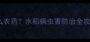 这个季节水稻买什么农药水稻病虫害防治全攻略附用药清单