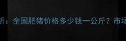 最新生猪价格走势分析全国肥猪价格多少钱一公斤市场供需与政策影响解读