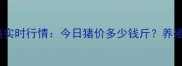 河北唐山肥猪价格实时行情今日猪价多少钱斤养殖户必看养殖建议