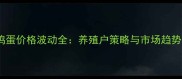 江西九江鸡蛋价格波动全养殖户策略与市场趋势深度调查