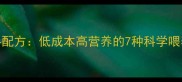 农村养牛最佳饲料配方低成本高营养的7种科学喂养方案与种植技术