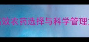 柳树根防治指南高效农药选择与科学管理方法附实测案例