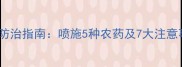 西瓜苗常见病虫害防治指南喷施5种农药及7大注意事项附配比表