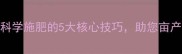 农药1805配方科学施肥的5大核心技巧助您亩产提升20