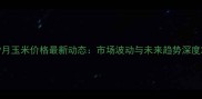 9月玉米价格最新动态市场波动与未来趋势深度