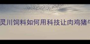 养殖户必看广东灵川饲料如何用科技让肉鸡猪牛饲料成本直降30