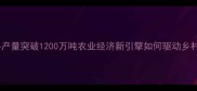 河北饲料产量突破1200万吨农业经济新引擎如何驱动乡村振兴