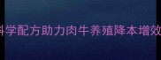 1236牛浓缩饲料科学配方助力肉牛养殖降本增效的养殖户必看指南