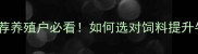 锦州专业反刍饲料厂家推荐养殖户必看如何选对饲料提升牛羊效益附技术解决方案