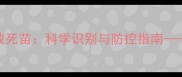 农药化学反应致死苗科学识别与防控指南最新农业技术