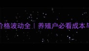 阜新仔猪价格波动全养殖户必看成本与市场趋势
