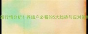 东港生猪价格最新行情分析养殖户必看的5大趋势与应对策略附数据图表