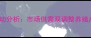 湖南七月生猪价格波动分析市场供需双调整养殖户如何应对行情变化