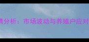 沛县鸡蛋价格今日行情分析市场波动与养殖户应对策略附深度解读