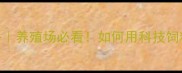 南昌到华饲料全攻略养殖场必看如何用科技饲料实现年增30产能