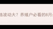 黑龙江肥猪价格波动大养殖户必看的8月最新行情分析