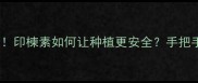天然农药新宠印楝素如何让种植更安全手把手教你科学使用