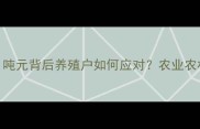 鸡肉价格波动全1吨元背后养殖户如何应对农业农村部最新数据来了