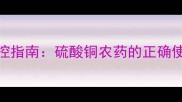 辣椒病害科学防控指南硫酸铜农药的正确使用与病害治理全