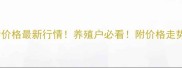 山西霍州生猪价格最新行情养殖户必看附价格走势及养殖建议