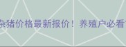 河北省土杂猪价格最新报价养殖户必看市场动态