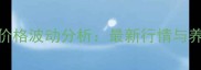 10月青海生猪价格波动分析最新行情与养殖户应对策略