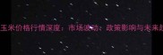 新乡玉米价格行情深度市场波动政策影响与未来趋势
