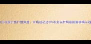 石家庄鸡蛋价格行情深度市场波动达20农业农村局最新数据揭示趋势