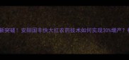 小麦增产新突破安阳国丰快大红农药技术如何实现30增产权威解读