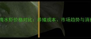 淡水虾与海水虾价格对比养殖成本市场趋势与消费前景全