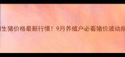 南阳生猪价格最新行情9月养殖户必看猪价波动指南