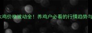 大连淘汰鸡价格波动全养鸡户必看的行情趋势与应对策略