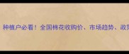 棉花价格波动全种植户必看全国棉花收购价市场趋势政策影响及种植建议