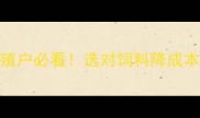 北农饲料品牌深度养殖户必看选对饲料降成本增效益的3大核心优势
