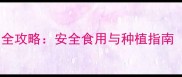 玫瑰花农药残留检测全攻略安全食用与种植指南附国家检测标准
