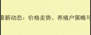 江西生猪市场最新动态价格走势养殖户策略与行业前景分析