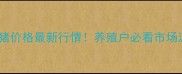 湖北肥猪价格最新行情养殖户必看市场波动全