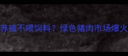 生态猪养殖不喂饲料绿色猪肉市场爆火真相