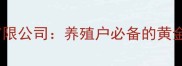 农业科技领航者荣达饲料有限公司养殖户必备的黄金饲料配方与智慧养殖指南