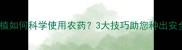 红薯种植如何科学使用农药3大技巧助您种出安全红薯
