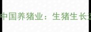 正大饲料科学配方助力中国养猪业生猪生长速度提升30的养殖秘籍