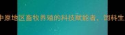 郑州康地饲料有限公司中原地区畜牧养殖的科技赋能者饲料生产技术创新与行业贡献全
