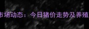 扎兰屯生猪价格市场动态今日猪价走势及养殖户应对策略分析