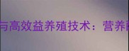 毛皮动物饲料加工特点与高效益养殖技术营养配比与加工工艺全指南
