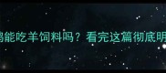 鸭鸭能吃羊饲料吗看完这篇彻底明白